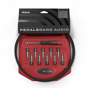 Planet Waves PW-MGPKIT-10