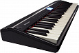 ROLAND GO-61P