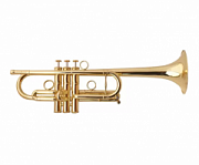 Carol Brass CTR-4000H-YSS-C-L