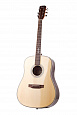PRIMA DSAG205