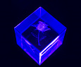 CHAUVET-DJ TFX-UVLED - LED Shadow