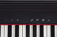 ROLAND GO-61P
