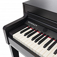 ROCKDALE Overture Rosewood
