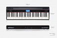ROLAND GO-61P