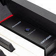 ROCKDALE Virtuoso Black