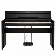 ROCKDALE Virtuoso Black