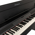 ROCKDALE Virtuoso Black