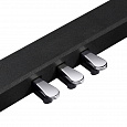 EMILY PIANO D-20 RD