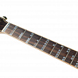 GUITTO GFM-01
