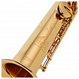 Trevor James The Horn 3630G