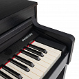 ROCKDALE Overture Rosewood