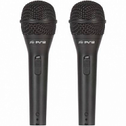 PEAVEY PVi 2 PACK