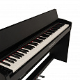 ROCKDALE Virtuoso Black