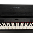 ROCKDALE Virtuoso Black