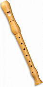 Mollenhauer Student 1004