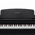 ROCKDALE Sonata Rosewood