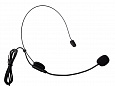 LAudio C2