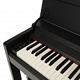 ROCKDALE Virtuoso Black