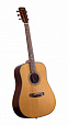 PRIMA DSAG219